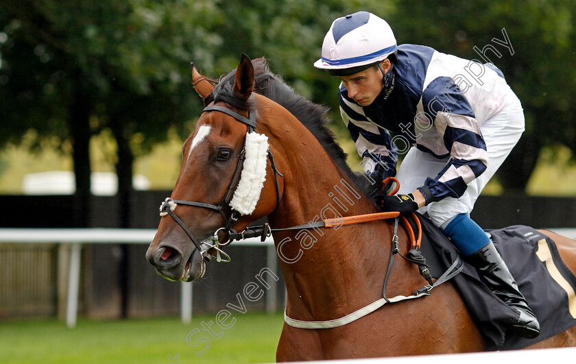 Charging-Thunder-0001 
 CHARGING THUNDER (William Buick)
Newmarket 5 Aug 2023 - Pic Steven Cargill / Racingfotos.com