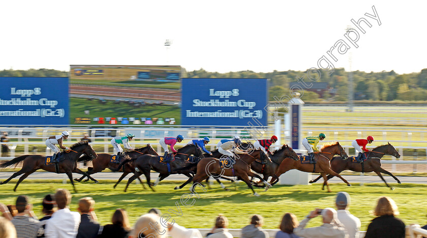 Best-Of-Lips-0007 
 BEST OF LIPS (4, Hugo Boutin) with the field during The Stockholm Cup International
Bro Park, Sweden , 15 Sep 2024 - Pic Steven Cargill / Racingfotos.com