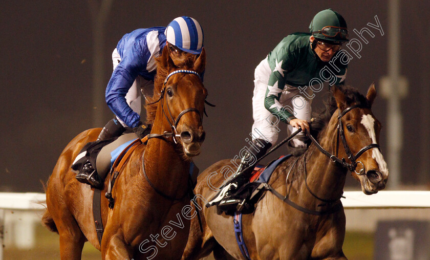 Montather-0005 
 MONTATHER (left, Jim Crowley) beats MAJESTIC NOOR (right) in The totepool Cashback Club At totesport.com Novice Stakes Div2
Chelmsford 25 Nov 2019 - Pic Steven Cargill / Racingfotos.com