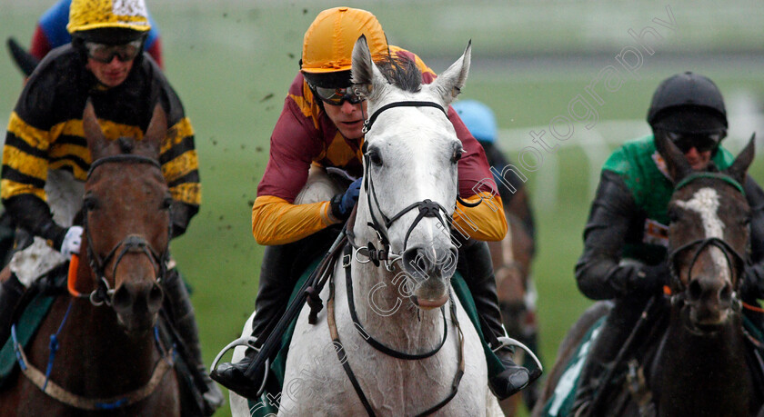 Ramses-De-Teillee-0001 
 RAMSES DE TEILLEE (Tom Scudamore) wins The Randox Health Novices Hurdle
Cheltenham 26 Oct 2019 - Pic Steven Cargill / Racingfotos.com