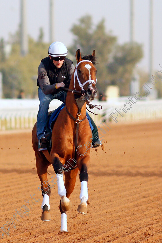 Mandaloun-0004 
 MANDALOUN training for the Saudi Cup
King Abdulaziz Racetrack, Riyadh, Saudi Arabia 24 Feb 2022 - Pic Steven Cargill / Racingfotos.com