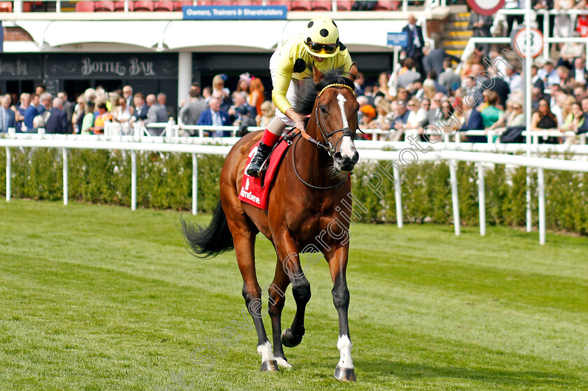 Dubai-Poet-0002 
 DUBAI POET (Andrea Atzeni)
Chester 5 May 2022 - Pic Steven Cargill / Racingfotos.com