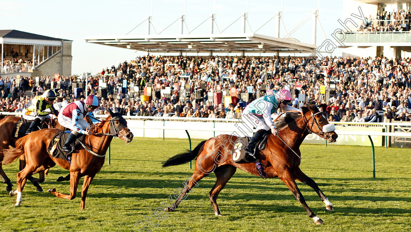 Chaleur-0003 
 CHALEUR (Richard Kingscote) wins The British Stallion Studs EBF Jersey Lily Fillies Nursery
Newmarket 29 Sep 2018 - Pic Steven Cargill / Racingfotos.com