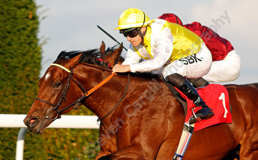 Noisy-Night-0008 
 NOISY NIGHT (Richard Kingscote) wins The Unibet British Stallion Studs EBF Novice Stakes
Kempton 4 Aug 2021 - Pic Steven Cargill / Racingfotos.com