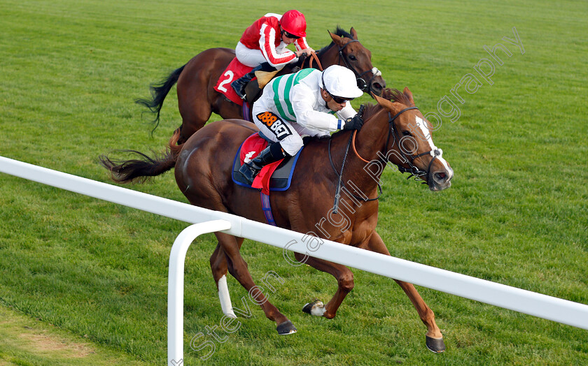 Akvavera-0004 
 AKVAVERA (Silvestre De Sousa) wins The Smarkets Betting Exchange Fillies Handicap
Sandown 19 Sep 2018 - Pic Steven Cargill / Racingfotos.com