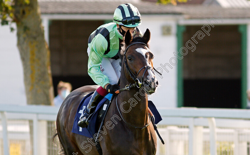 Francesco-Guardi-0002 
 FRANCESCO GUARDI (Oisin Murphy)
Yarmouth 17 Sep 2020 - Pic Stevn Cargill / Racingfotos.com