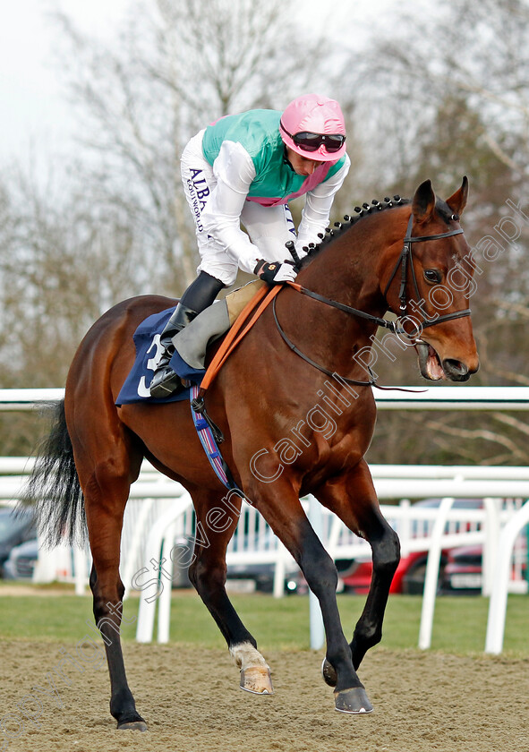 Fire-Demon-0001 
 FIRE DEMON (Ryan Moore)
Lingfield 20 Jan 2024 - Pic Steven Cargill / Racingfotos.com