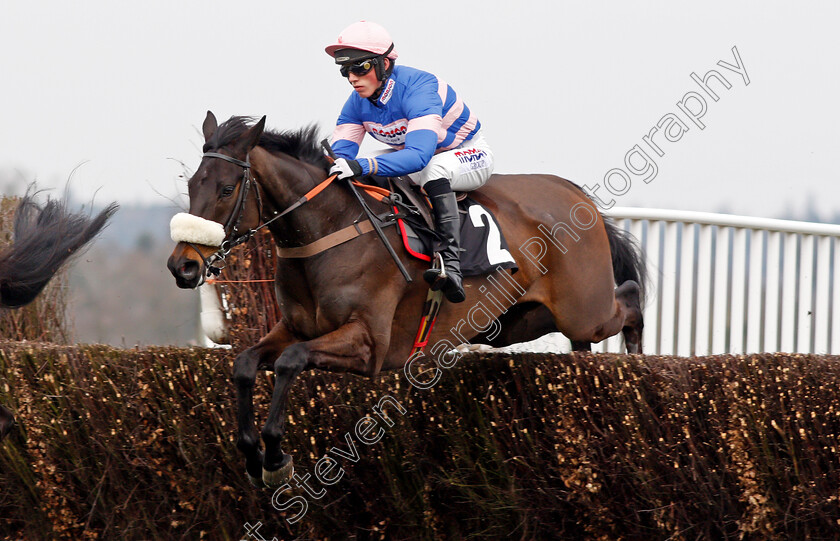 Adrien-Du-Pont-0001 
 ADRIEN DU PONT (Harry Cobden) Ascot 25 Mar 2018 - Pic Steven Cargill / Racingfotos.com