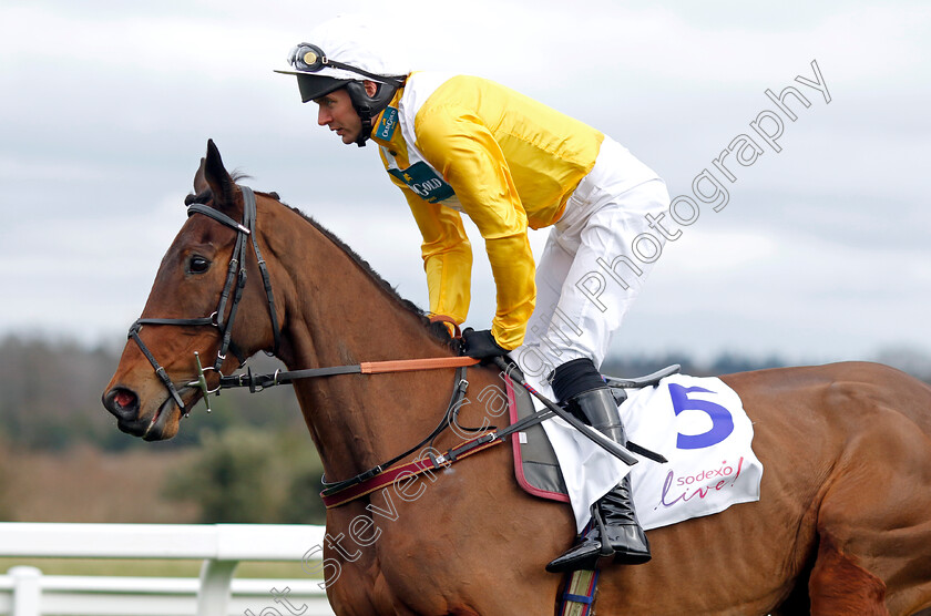 Apple-Away-0002 
 APPLE AWAY (Derek Fox)
Ascot 17 Feb 2024 - Pic Steven Cargill / Racingfotos.com