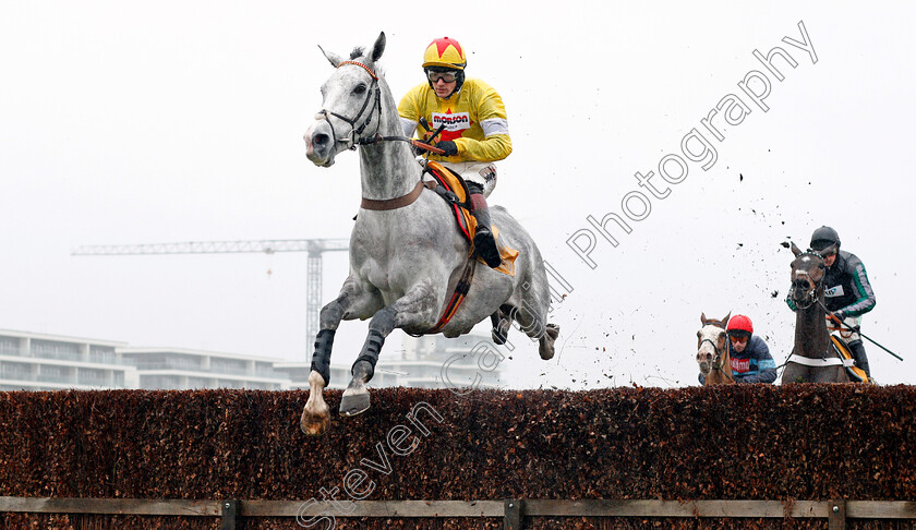 Politologue-0001 
 POLITOLOGUE (Sam Twiston-Davies) Newbury 10 Feb 2018 - Pic Steven Cargill / Racingfotos.com