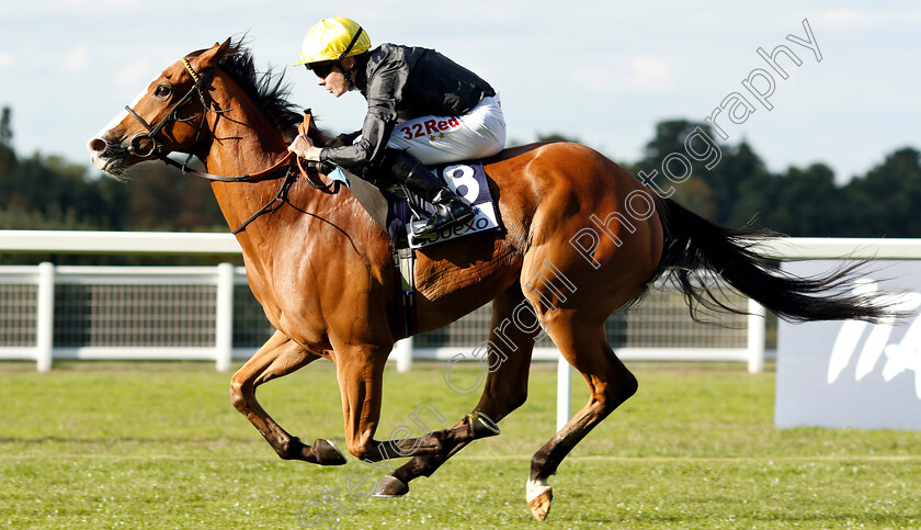 Akbar-Shah-0005 
 AKBAR SHAH (Jamie Spencer) wins The Sodexo Handicap
Ascot 7 Sep 2018 - Pic Steven Cargill / Racingfotos.com