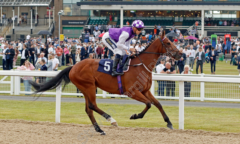 Gainsbourg 
 GAINSBOURG (Kevin Stott)
Newcastle 24 Jun 2022 - Pic Steven Cargill / Racingfotos.com