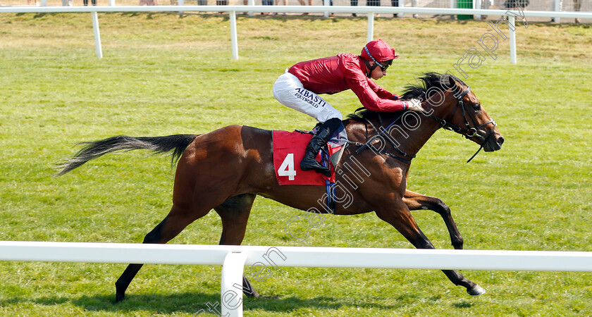 King-Of-Comedy-0007 
 KING OF COMEDY (Adam Kirby) wins The Good Care Group British EBF Novice Stakes Div2
Sandown 6 Jul 2018 - Pic Steven Cargill / Racingfotos.com