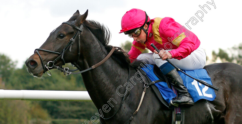 Kentucky-Kitten-0008 
 KENTUCKY KITTEN (William Buick) wins The Visit racingtv.com Handicap 
Leicester 12 Oct 2021 - Pic Steven Cargill / Racingfotos.com