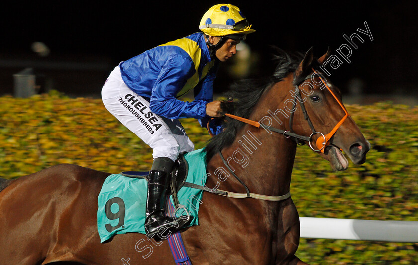 Metkaif-0001 
 METKAIF (Sean Levey) Kempton 4 Oct 2017 - Pic Steven Cargill / Racingfotos.com