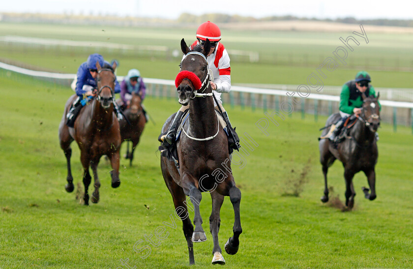 Claymore-0005 
 CLAYMORE (Joe Fanning) wins The Racing TV Novice Stakes
Newmarket 20 Oct 2021 - Pic Steven Cargill / Racingfotos.com