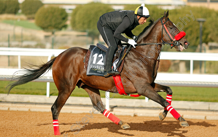 Loreley-0001 
 LORELEY training for The Saudi Derby
King Abdulaziz Racecourse, Kingdom of Saudi Arabia, 22 Feb 2023 - Pic Steven Cargill / Racingfotos.com