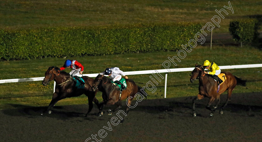 Nemov-0008 
 NEMOV (Rossa Ryan) beats WAR BRIDE (centre) in The Unibet Handicap
Kempton 28 Aug 2024 - Pic Steven Cargill / Racingfotos.com