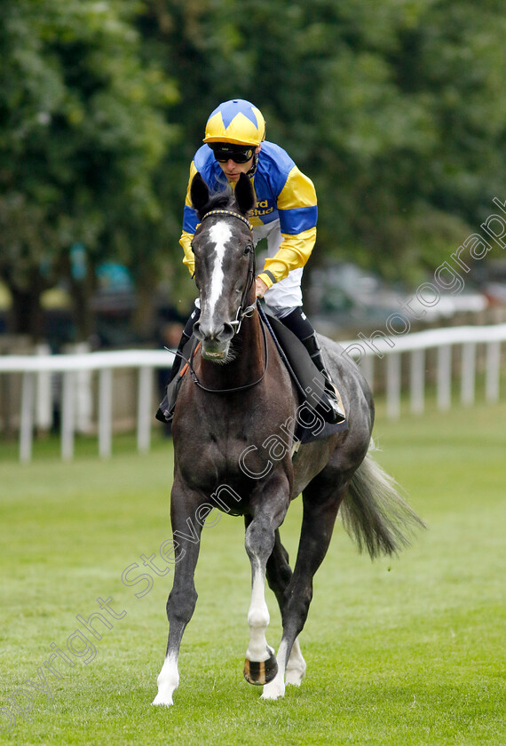 Miss-Lightfandango-0001 
 MISS LIGHTFANDANGO (Kieran Shoemark)
Newmarket 30 Jun 2023 - Pic Steven Cargill / Racingfotos.com