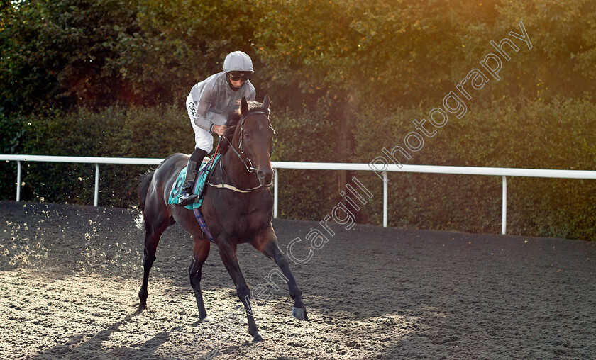 Fresh-0001 
 FRESH (Daniel Tudhope) winner of The Unibet Casino Handicap
Kempton 18 Aug 2020 - Pic Steven Cargill / Racingfotos.com