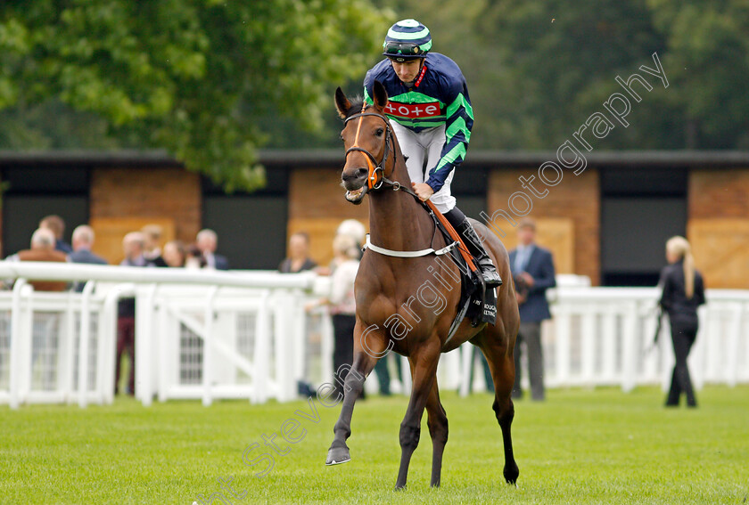 Crazyland-0001 
 CRAZYLAND (Hector Crouch)
Salisbury 2 Sep 2021 - Pic Steven Cargill / Racingfotos.com