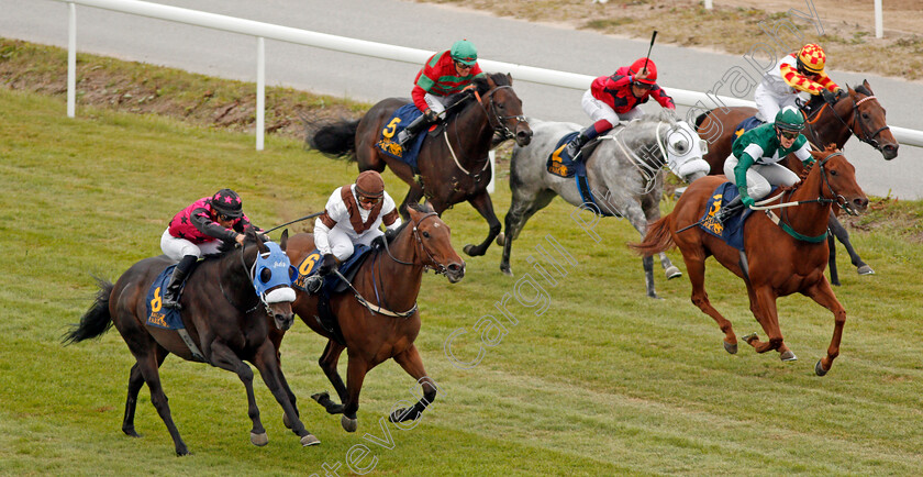 Martini-0001 
 MARTINI (right, Anna Pilroth) beats VARLO (left) and TATLISU (2nd left) in The Cafe Brasco Guldhandicap
Bro Park, Sweden 22 Sep 2019 - Pic Steven Cargill / Racingfotos.com