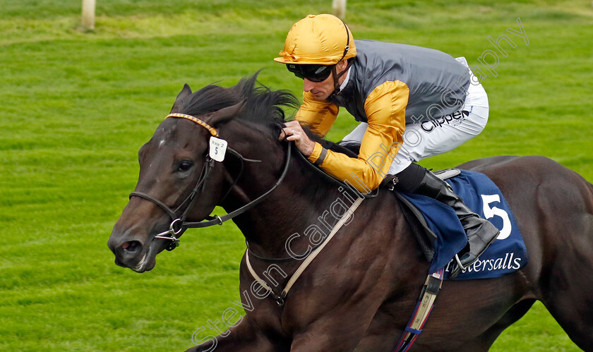 Indian-Run-0002 
 INDIAN RUN (Daniel Tudhope) wins The Tattersalls Acomb Stakes
York 23 Aug 2023 - Pic Steven Cargill / Racingfotos.com