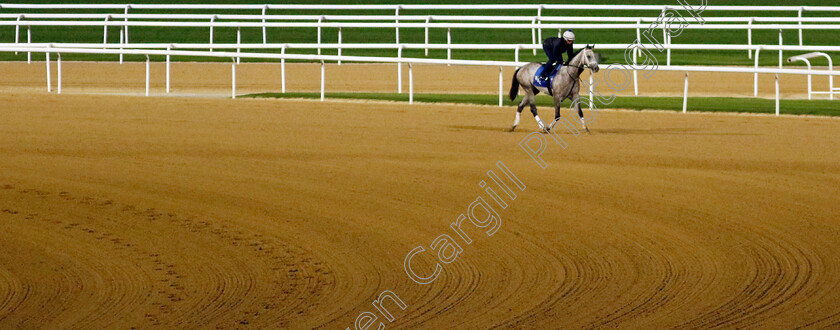 Saudi-Crown-0002 
 SAUDI CROWN out on track at 4am
Meydan, Dubai 1 Mar 2024 - Pic Steven Cargill / Racingfotos.com