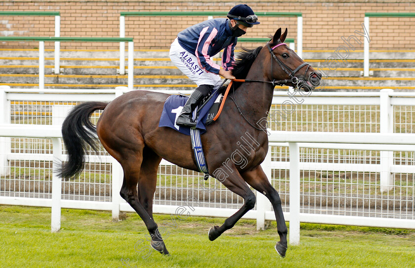 Pink-Sands-0001 
 PINK SANDS (Tom Marquand)
Yarmouth 22 Jul 2020 - Pic Steven Cargill / Racingfotos.com