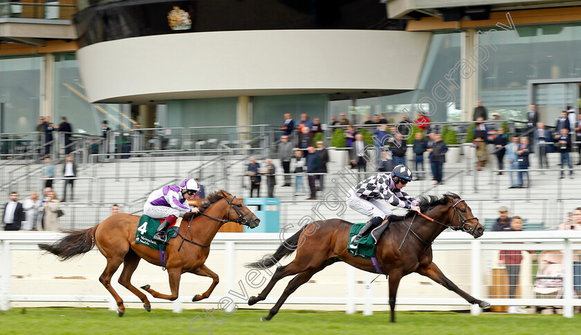 Go-Bears-Go-0003 
 GO BEARS GO (Rossa Ryan) beats HIERARCHY (left) in The Merriebelle Stable Commonwealth Cup Trial Stakes
Ascot 27 Apr 2022 - Pic Steven Cargill / Racingfotos.com