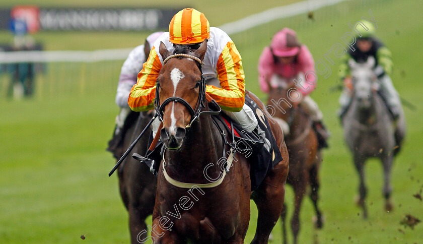 Entwine-0005 
 ENTWINE (Pat Cosgrave) wins The Watch And Bet At Mansionbet Fillies Novice Median Auction Stakes
Newmarket 21 Oct 2020 - Pic Steven Cargill / Racingfotos.com