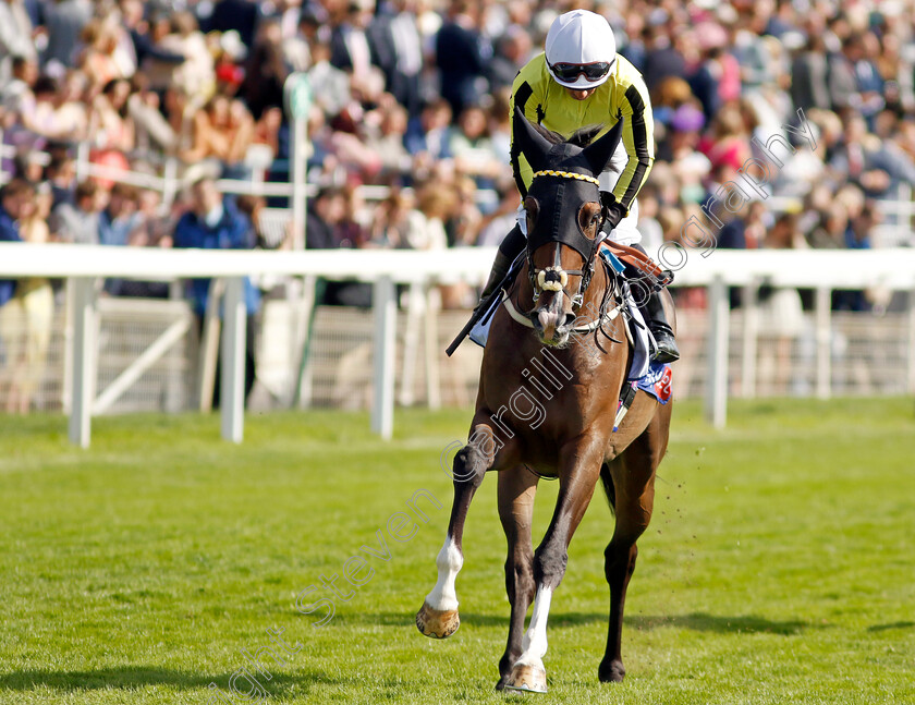 Burdett-Road-0002 
 BURDETT ROAD (Silvestre De Sousa)
York 24 Aug 2024 - Pic Steven Cargill / Racingfotos.com