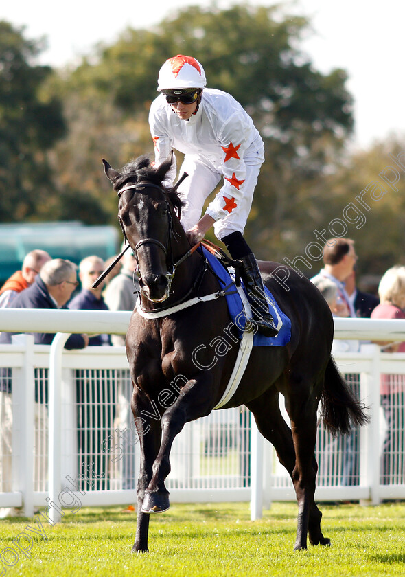 King-Ademar-0001 
 KING ADEMAR (James Doyle)
Salisbury 3 Oct 2018 - Pic Steven Cargill / Racingfotos.com