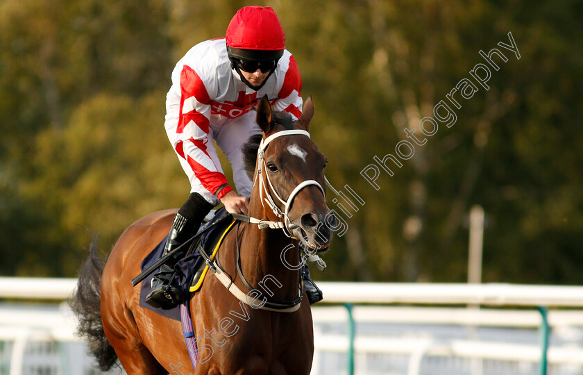 Stay-In-The-Light-0001 
 STAY IN THE LIGHT (Charlie Bennett)
Lingfield 5 Aug 2020 - Pic Steven Cargill / Racingfotos.com