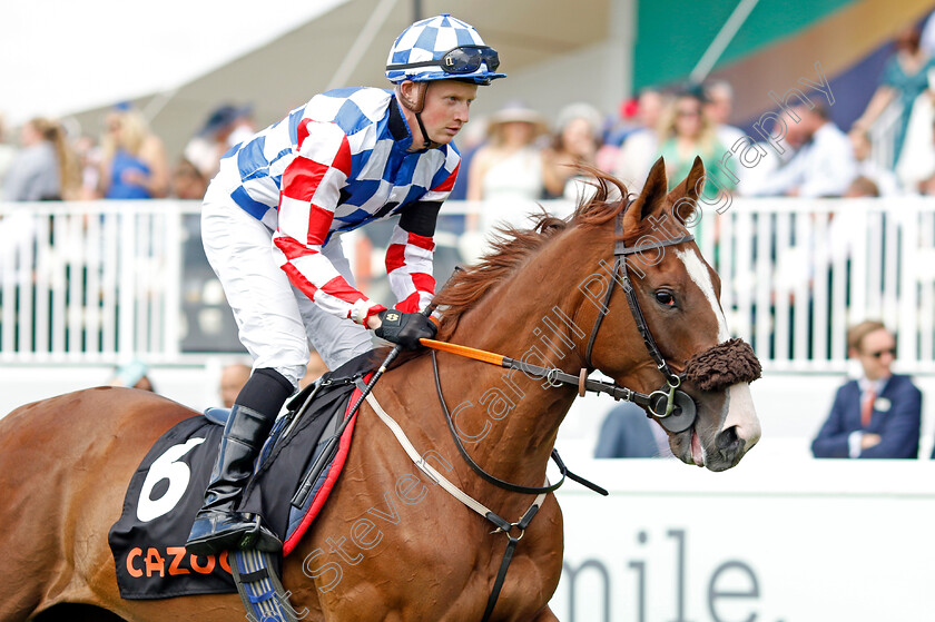 Langythelegend 
 LANGYTHELEGEND (Aled Beech)
Epsom 3 Jul 2022 - Pic Steven Cargill / Racingfotos.com