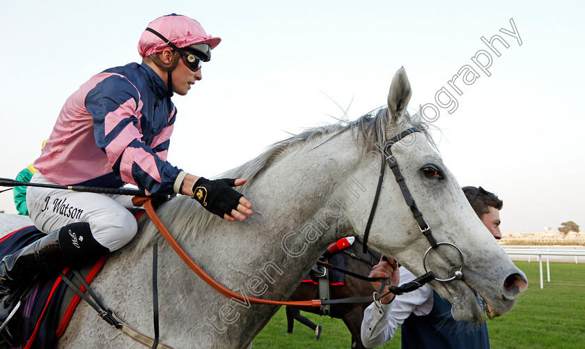 Lord-Glitters-0016 
 LORD GLITTERS (Jason Watson) after The Bahrain International Trophy
Sakhir Racecourse, Bahrain 19 Nov 2021 - Pic Steven Cargill / Racingfotos.com