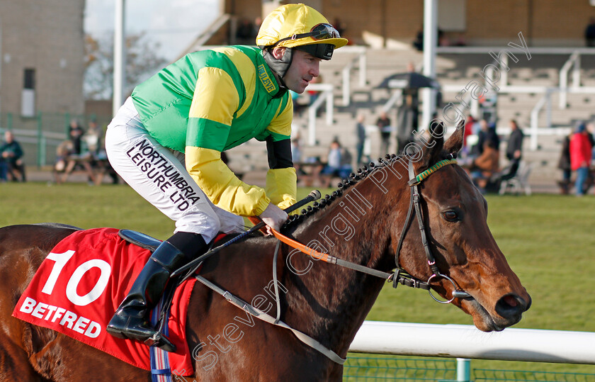 Stake-Acclaim-0001 
 STAKE ACCLAIM (Robert Winston) Doncaster 11 Nov 2017 - Pic Steven Cargill / Racingfotos.com