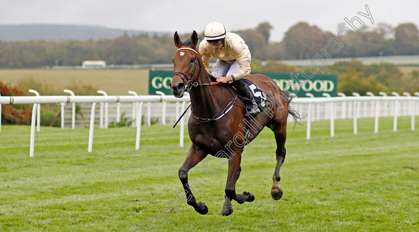 Monica-Sheriff-0005 
 MONICA SHERIFF (Tom Marquand) wins The Thoroughbred Breeders Association Fillies Handicap
Goodwood 25 Sep 2019 - Pic Steven Cargill / Racingfotos.com