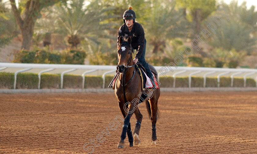 Nate-The-Great-0001 
 NATE THE GREAT training for The Red Sea Turf Handicap 
King Abdulaziz Racecourse, Kingdom Of Saudi Arabia, 23 Feb 2023 - Pic Steven Cargill / Racingfotos.com