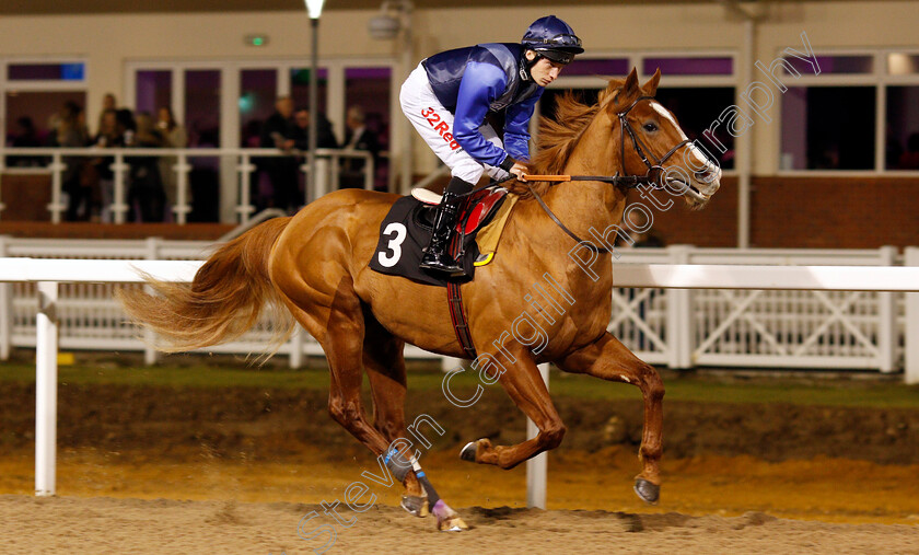 Filbert-Street-0001 
 FILBERT STREET (Luke Morris) Chelmsford 7 Dec 2017 - Pic Steven Cargill / Racingfotos.com