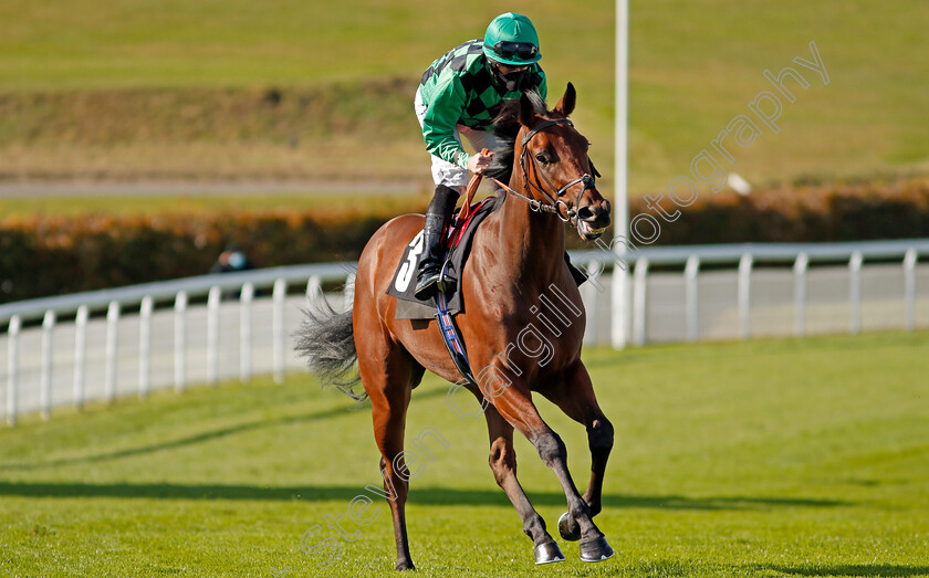 Marks-Bear-0001 
 MARKS BEAR (Ryan Moore)
Goodwood 11 Oct 2020 - Pic Steven Cargill / Racingfotos.com