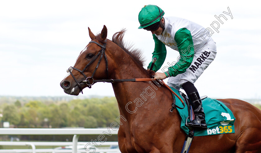 Kuwait-Currency-0001 
 KUWAIT CURRENCY (Tom Marquand)
Sandown 26 Apr 2019 - Pic Steven Cargill / Racingfotos.com