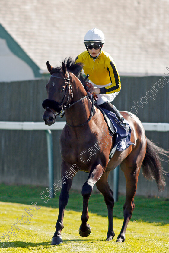 Robert-Walpole-0001 
 ROBERT WALPOLE (Harry Bentley)
Yarmouth 19 Sep 2019 - Pic Steven Cargill / Racingfotos.com