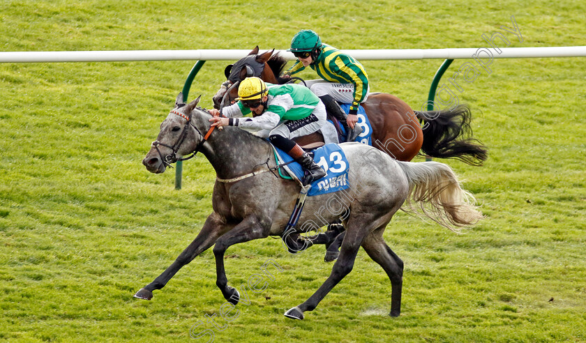 Aqwaam-0001 
 AQWAAM (Trevor Whelan)
Newmarket 12 Oct 2024 - Pic Steven Cargill / Racingfotos.com