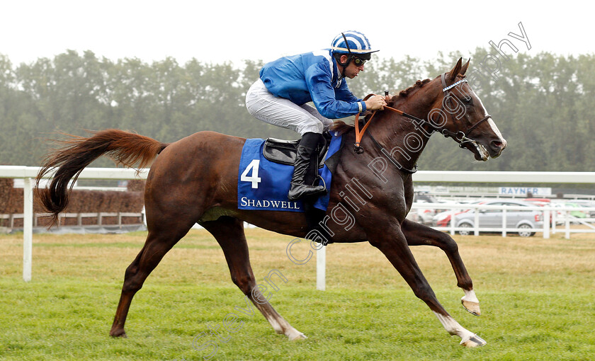 No-And-No-Al-Maury-0007 
 NO AND NO AL MAURY (Francois Xavier Bertras) wins The UAE Embassy In London International Stakes
Newbury 29 Jul 2018 - Pic Steven Cargill / Racingfotos.com