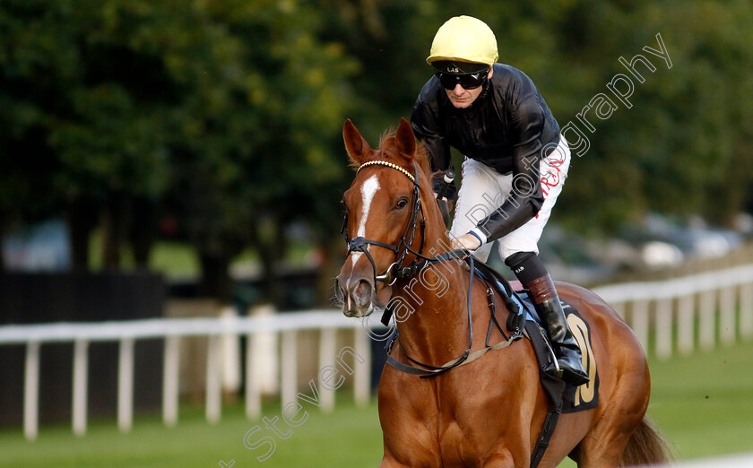 Venus-Rosewater-0001 
 VENUS ROSEWATER (Robert Havlin)
Newmarket 4 Aug 2023 - Pic Steven Cargill / Racingfotos.com