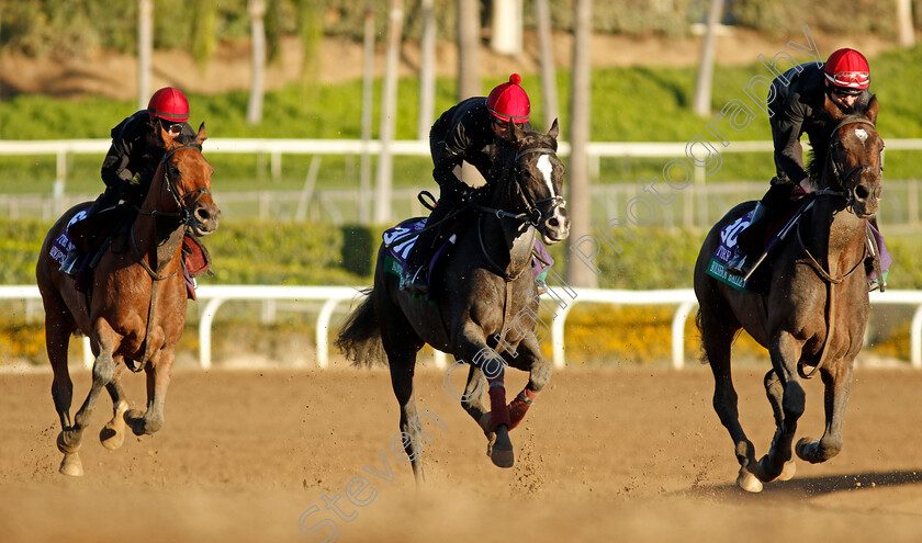 Auguste-Rodin,-Bolshoi-Ballet-and-Aesops-Fables-0001 
 AUGUSTE RODIN (centre) training for the Breeders' Cup with BOLSHOI BALLET (right) and AESOPS FABLES (left)
Santa Anita USA, 1 Nov 2023 - Pic Steven Cargill / Racingfotos.com