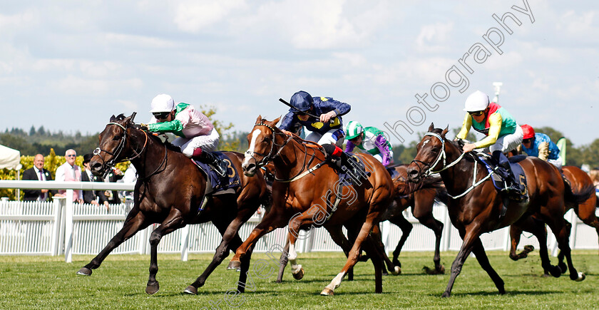 Khaadem-0004 
 KHAADEM (Oisin Murphy) beats SWINGALONG (centre) in The Queen Elizabeth II Jubilee Stakes
Royal Ascot 22 Jun 2024 - Pic Steven Cargill / Racingfotos.com