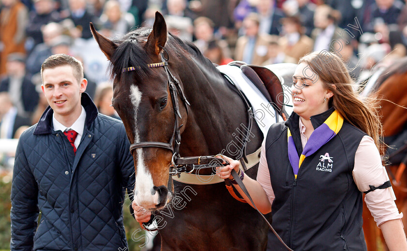 Kalashnikov-0002 
 KALASHNIKOV Cheltenham 13 Mar 2018 - Pic Steven Cargill / Racingfotos.com