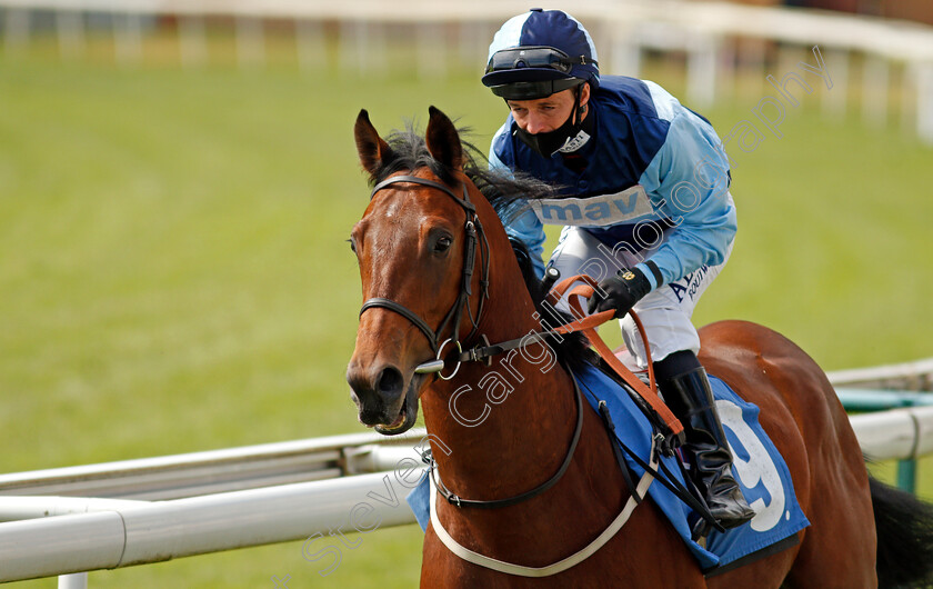 Mattice-0002 
 MATTICE (David Allan)
York 13 May 2021 - Pic Steven Cargill / Racingfotos.com